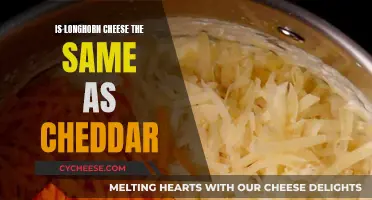 Longhorn Cheese: Cheddar's Twin?