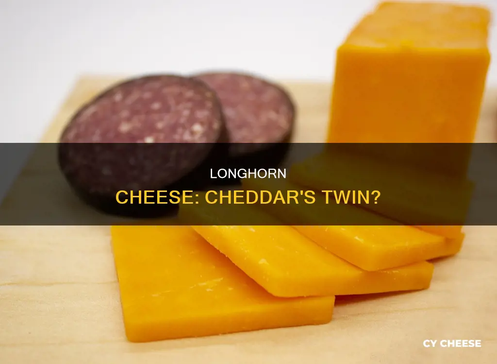 is longhorn cheese the same as cheddar