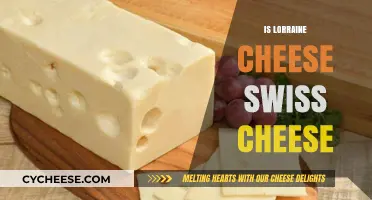Lorraine Cheese: Swiss or Not?