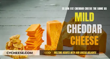 Unraveling the Mystery: Low-Fat vs. Mild Cheddar Cheese