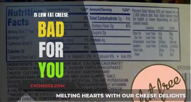 Fat-Free Cheese: Healthy or Harmful?