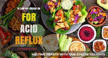 Low Fat Cheese and Acid Reflux: A Safe Dietary Choice?