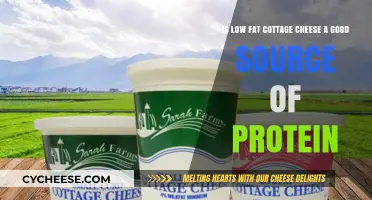 Low-Fat Cottage Cheese: A Protein-Packed Choice for Healthy Diets?