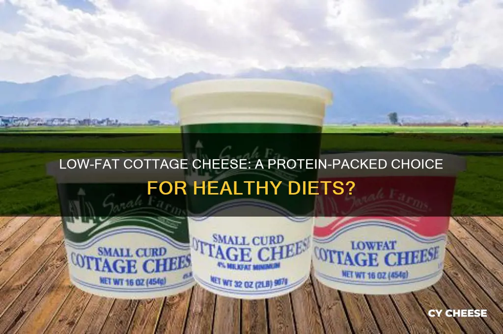 is low fat cottage cheese a good source of protein