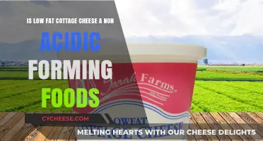 Low Fat Cottage Cheese: A Non-Acidic Food Choice?