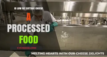 Is Low-Fat Cottage Cheese Processed? Uncovering the Truth