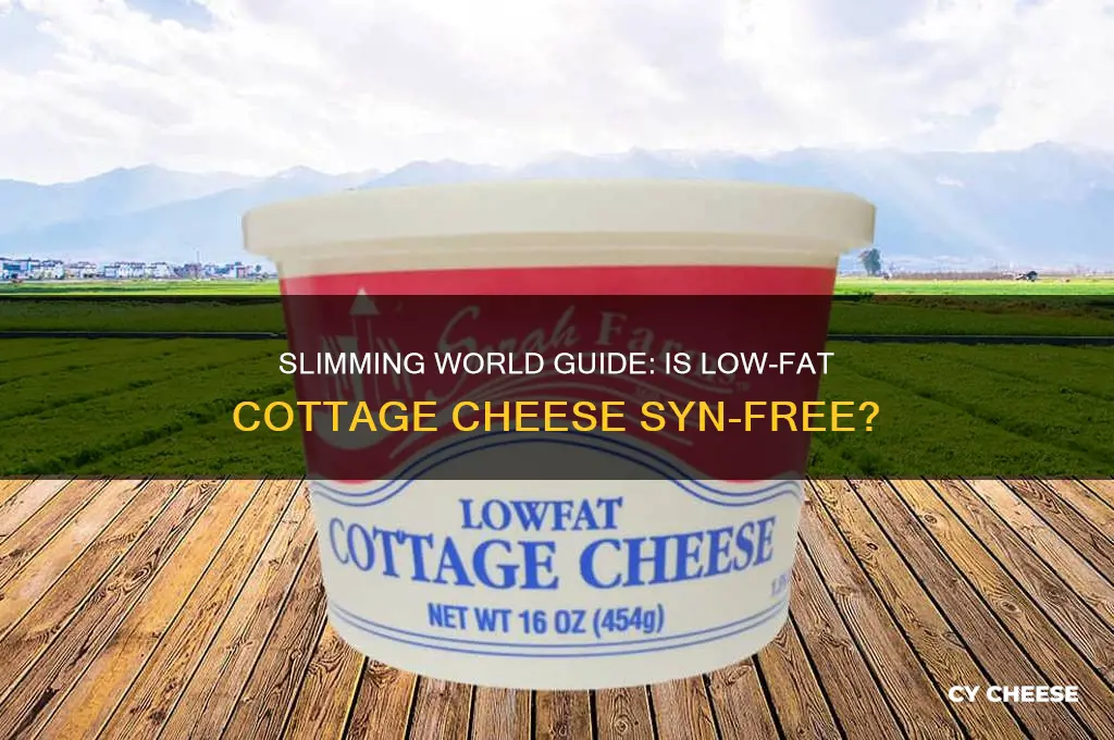 is low fat cottage cheese free on slimming world