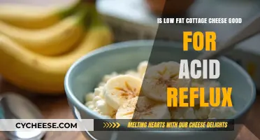 Low-Fat Cottage Cheese: A Soothing Choice for Acid Reflux Relief?