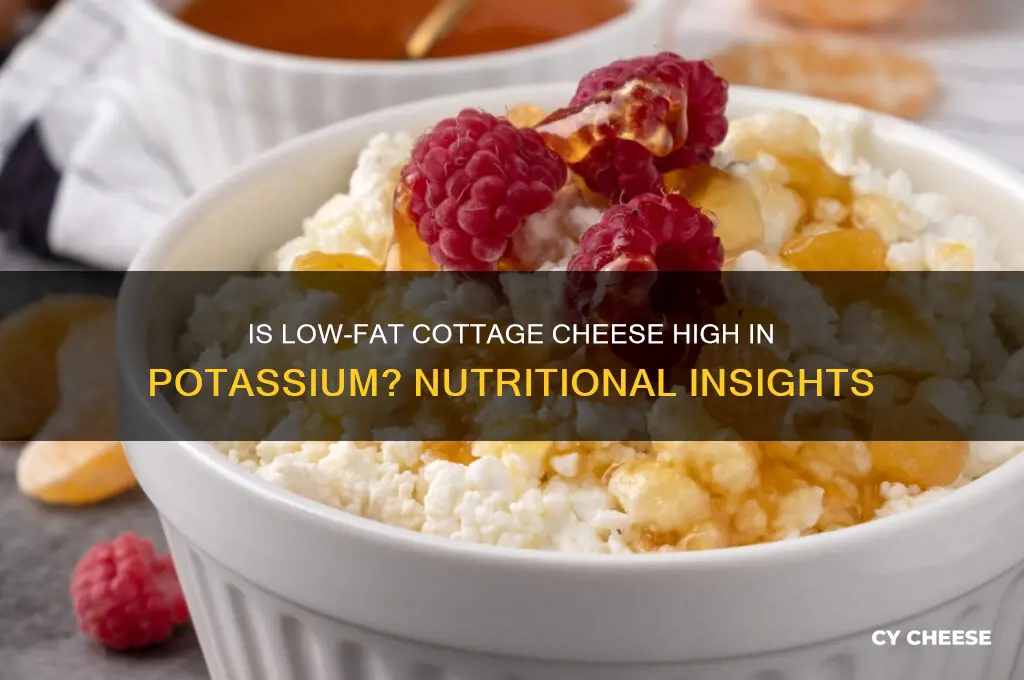 is low fat cottage cheese high in potassium