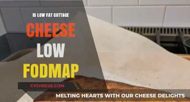 Is Low-Fat Cottage Cheese Low FODMAP? A Dietary Guide