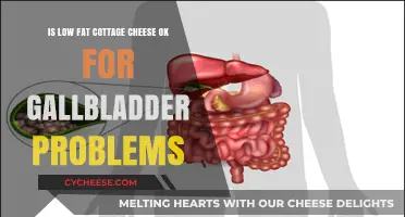 Low-Fat Cottage Cheese: Safe for Gallbladder Issues or Not?
