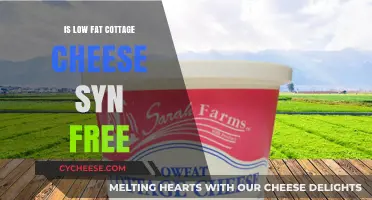 Is Low-Fat Cottage Cheese Syn Free? A Diet-Friendly Guide