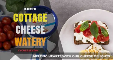 Is Low-Fat Cottage Cheese Watery? Texture Explained and Tips