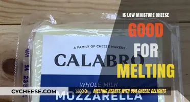 Low Moisture Cheese: The Melting Secret or Myth?