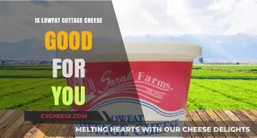 Is Low-Fat Cottage Cheese Healthy? Nutrition Benefits Explained