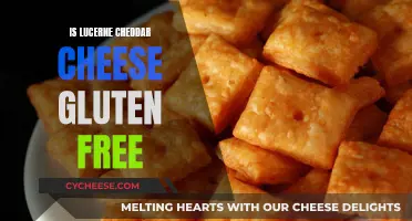 Gluten-Free Goodness: Is Lucerne Cheddar Cheese Safe for Celiacs?