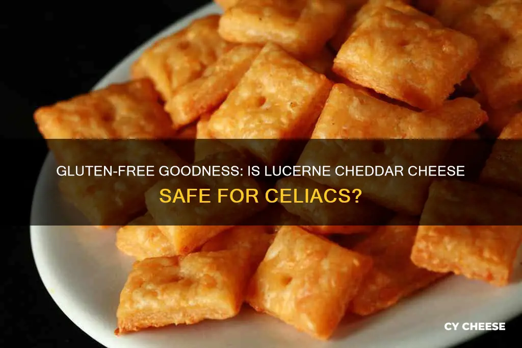 is lucerne cheddar cheese gluten free