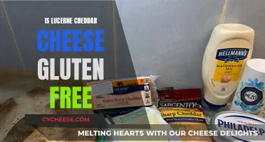 Gluten-Free Diets: Lucerne Cheddar Cheese Explained