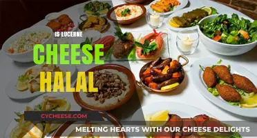 Is Lucerne Cheese Halal? Exploring Ingredients and Certification Details