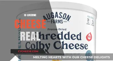 Is Lucerne Cheese Real? Uncovering the Truth Behind the Brand