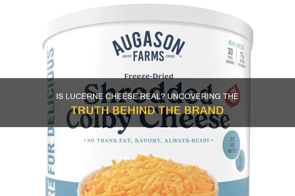 is lucerne cheese real