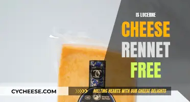 Rennet-Free Lucerne Cheese: What You Need to Know