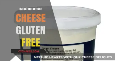 Is Lucerne Cottage Cheese Gluten-Free? A Comprehensive Guide