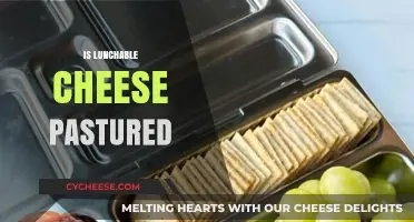 Is Lunchable Cheese Pasture-Raised? Uncovering the Truth Behind the Snack