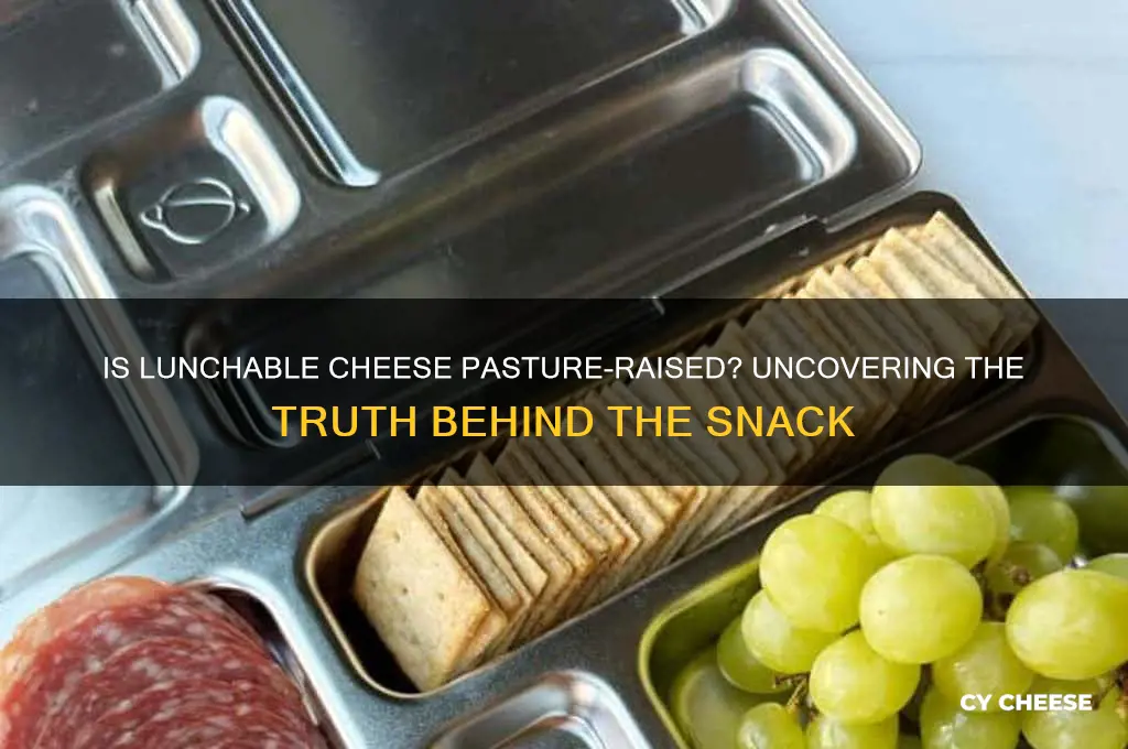 is lunchable cheese pastured