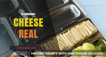 Is Lunchables Cheese Real? Uncovering the Truth Behind the Snack