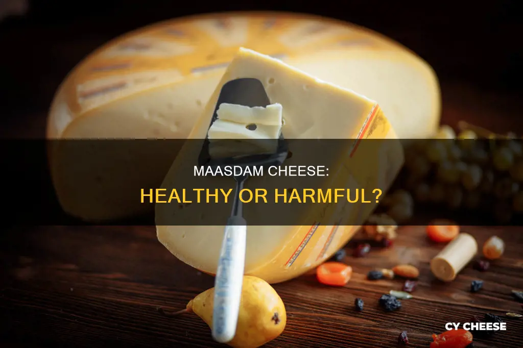 is maasdam cheese healthy