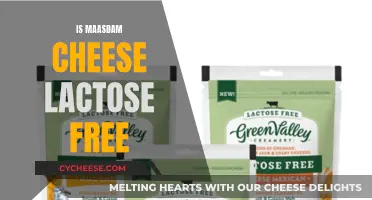 Maasdam Cheese: Lactose-Free Delicacy or Dairy Danger?