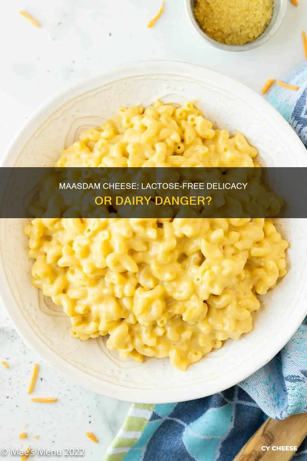 is maasdam cheese lactose free