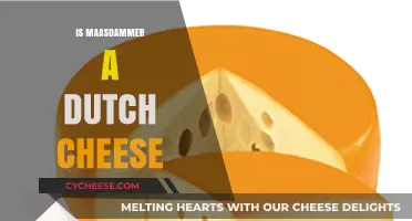 Maasdammer's Dutch Origins: Unraveling the Cheese's Cultural Heritage