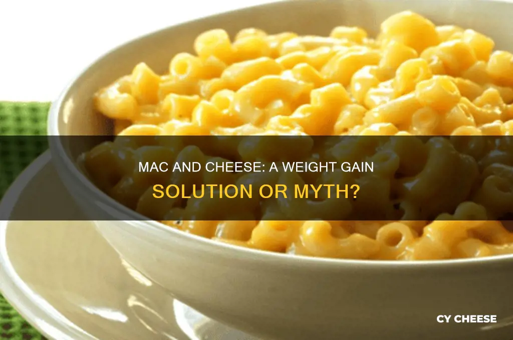 is macaroni and cheese a good way to gain weight