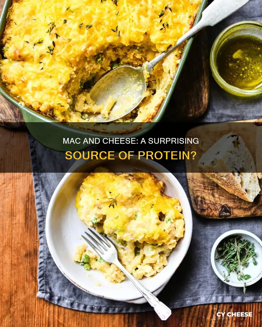 is macaroni and cheese a protein