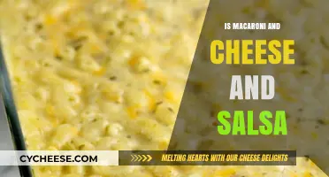 Mac and Cheese: Spicy Salsa Twist