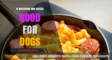 Can Dogs Eat Mac and Cheese? Vet-Approved Tips and Risks