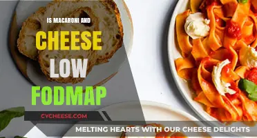 Mac and Cheese: Low FODMAP Diet-Friendly?