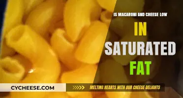 Mac and Cheese: A Healthy Indulgence?