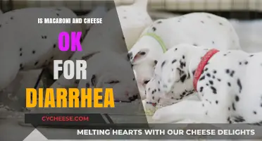 Mac and Cheese: Friend or Foe for Diarrhea?