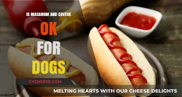 Can Dogs Eat Mac and Cheese?