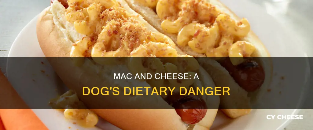 is macaroni cheese bad for dogs