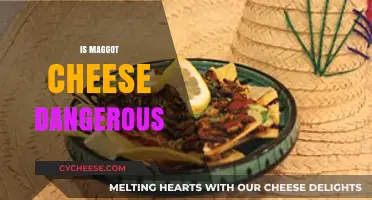 Is Maggot Cheese Safe? Uncovering the Risks and Truth Behind Casu Marzu