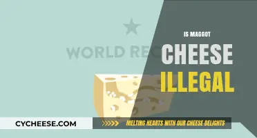 Is Maggot Cheese Illegal? Exploring the Controversial Delicacy's Legal Status