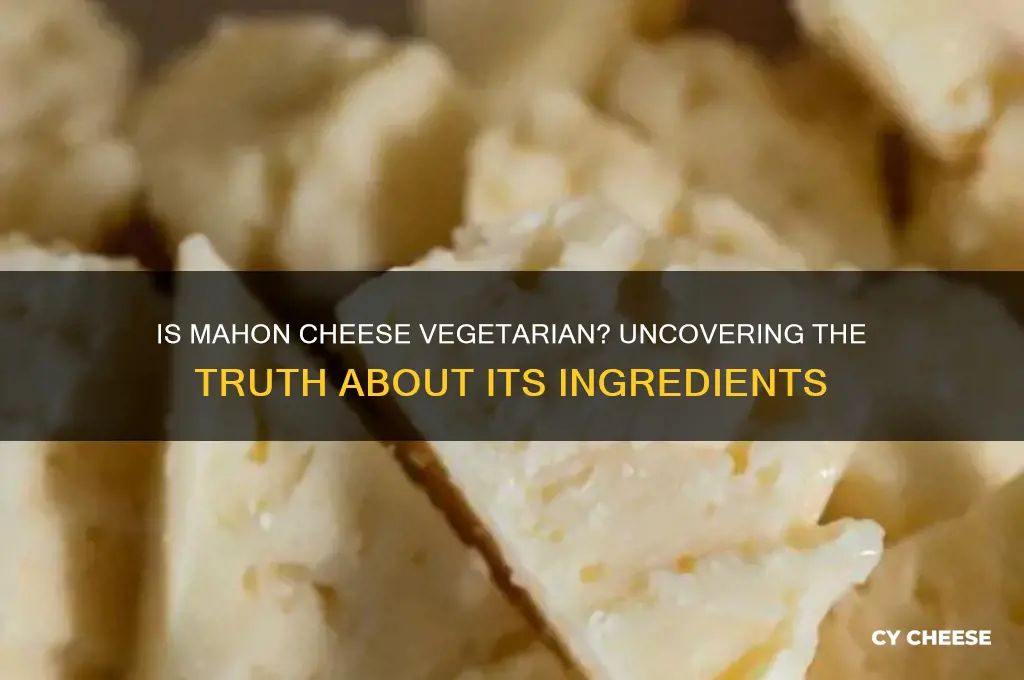 is mahon cheese vegetarian