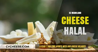 Is Mainland Cheese Halal? A Comprehensive Guide for Muslim Consumers