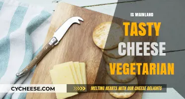 Is Mainland Tasty Cheese Vegetarian? A Comprehensive Guide for Cheese Lovers