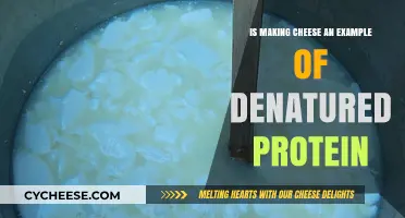 Cheese Making and Denatured Proteins: Unraveling the Science Behind Curds