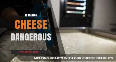 Is Making Cheese Dangerous? Uncovering Risks and Safety Tips